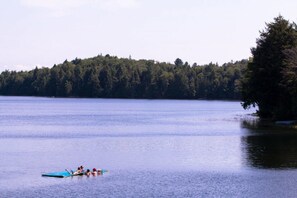 Järvi