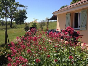 Aperçu d'une terrasse