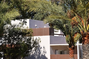 The villa, tucked among date palms.
