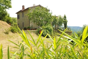 Pflanze, Himmel, Pflanzengemeinschaft, Gebäude, Fenster, Baum, Natürliche Landschaft, Grundstueck, Vegetation, Haus