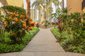 Garden, Nature, Outdoors, Path, Grass