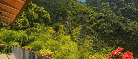 Cloud, Sky, Property, Plant Community, Plant, Nature, Flower, Natural Environment, Fence, Natural Landscape