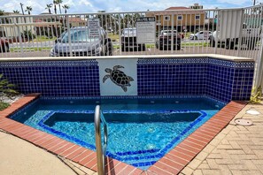 Pool, Water, Swimming Pool, Outdoors, Turtle