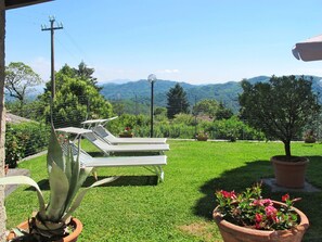 Property, Real Estate, Grass, Home, House, Botany, Lawn, Plant, Garden, Landscape