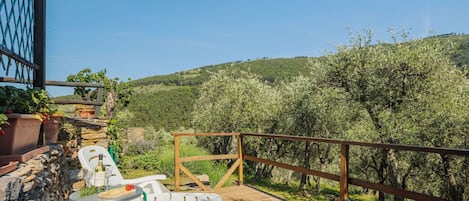 Sky, Plant, Property, Nature, Shade, Wood, Outdoor Furniture, Grass, Fence, Leisure