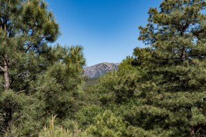 Mountain Views From Deck
