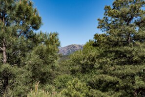 Views from the Deck - Enjoy a nightcap under the stars before turning in, and wake up to sunshine, soft breezes, and chirping birds.