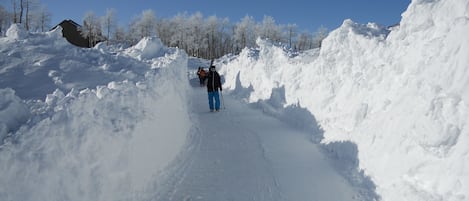 Skidåkning och snöaktiviteter