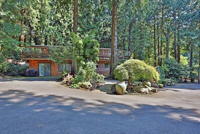 House in the Woods (whole house)