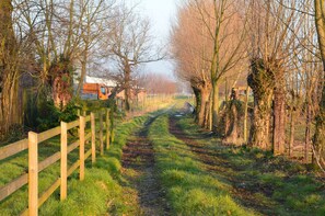 Veldweg naast mini huisje