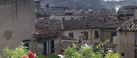 Vista su Santa Croce, San Miniato, Forte Belvedere.