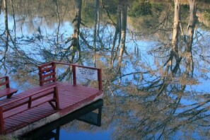 Reflections Of The Trees Over The Floating River Dock