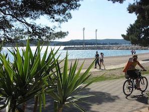 Strand