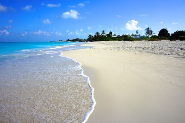 Our Beach