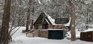 Snow falling at Twin Pines
2/22/22