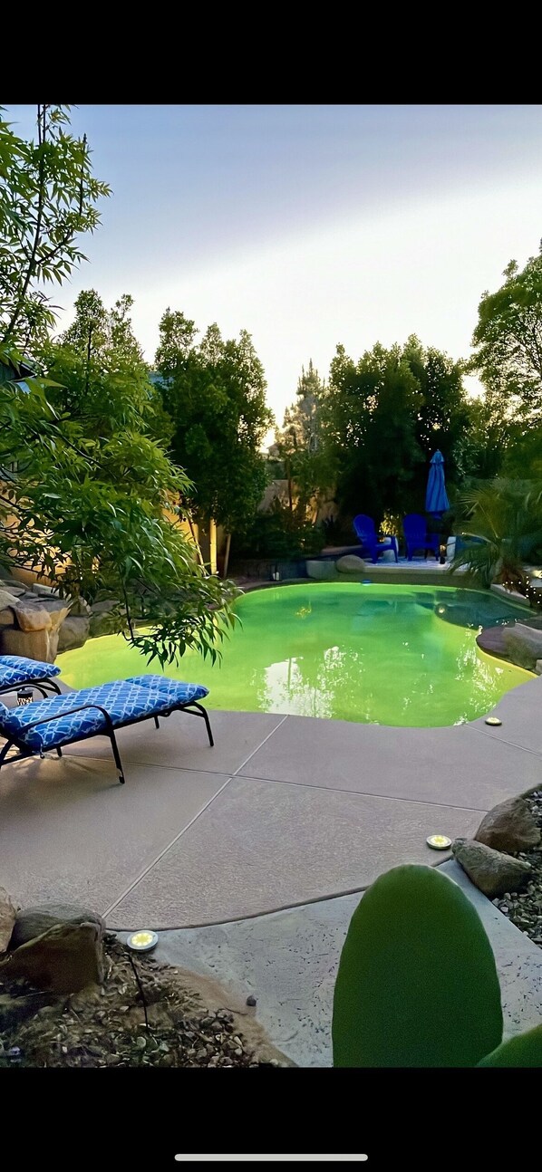 Enjoy laying around the pool in Lounge Chairs 