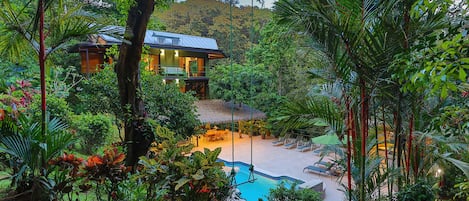 Embrace the wild beauty where the jungle becomes part of your living space.