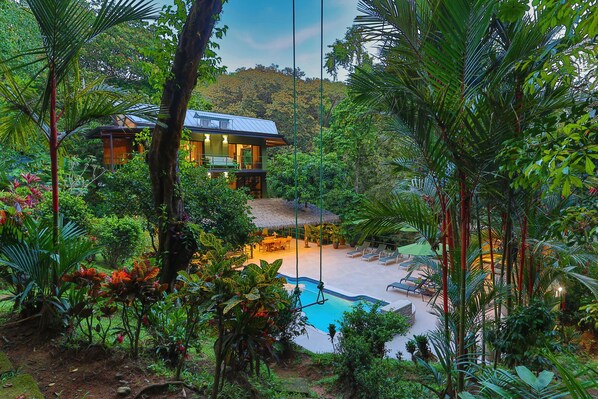 Embrace the wild beauty where the jungle becomes part of your living space.