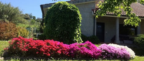 fachada en primavera
