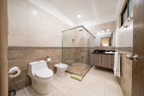 Master ensuite bathroom with rain shower (hot and cold) and bidet. 