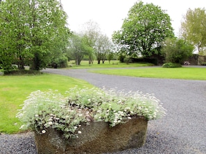 Plant, Sky, Green, Natural Landscape, Tree, Vegetation, Land Lot, Hedge, Grass, Shrub