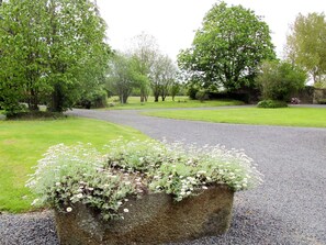 Plant, Sky, Green, Natural Landscape, Tree, Vegetation, Land Lot, Hedge, Grass, Shrub