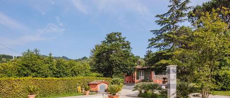 Water, Plant, Cloud, Property, Sky, Swimming Pool, Tree, Natural Landscape, Shade, Grass