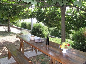 Tabelle, Geschirr, Pflanze, Möbel, Essen, Tisch Im Freien, Natur, Botanik, Gartenmöbel, Baum