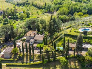 Plant, Property, Natural Landscape, Land Lot, Urban Design, Tree, Grass, Neighbourhood, Residential Area, Woody Plant