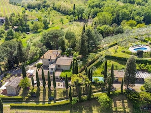 Plante, Propriété, Paysage Naturel, Lot Terre, Design Urbain, Arbre, Herbe, Quartier, Zone Résidentielle, Suppression Des Plantes Ligneuses