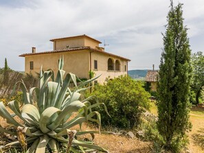 Cloud, Plant, Sky, Window, Building, Plant Community, Terrestrial Plant, Tree, Arecales, House