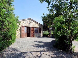 Plante, Ciel, Bâtiment, Fenêtre, Arbre, Ombre, Lot Terre, Maison, Porte, Surface De La Route