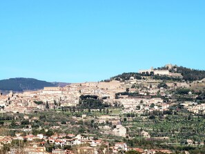 Ciel, Nuage, Plante, Arbre, Surface De La Route, Asphalte, Lot Terre, Maison, Composite, Clôture