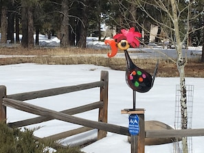 With your GPS and our rooster greeting you, you'll know for sure where to turn