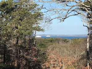 Glimpse of the Vineyard Sound from the Patio