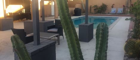 Pool and covered patio