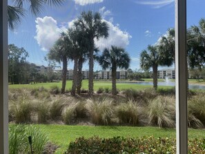 View of #5green
