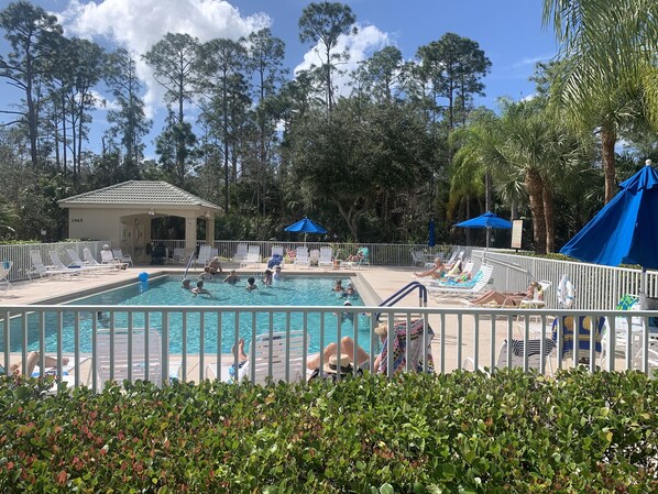 Swimming pool area