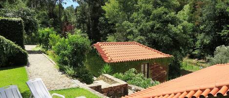 Planta, Propiedad, Edificio, Botánica, Naturaleza, Cielo, Nube, Paisaje Natural, Árbol, Vegetación