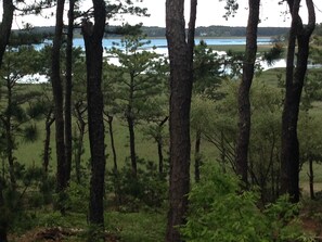 View  from front deck