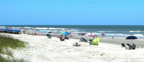 Beach at Daytime