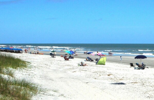 Beach at Daytime