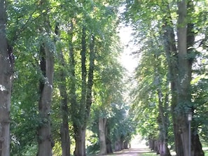 Blick in den Nationalpark