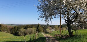 Nationalpark Eifel - bei Bronsfeld