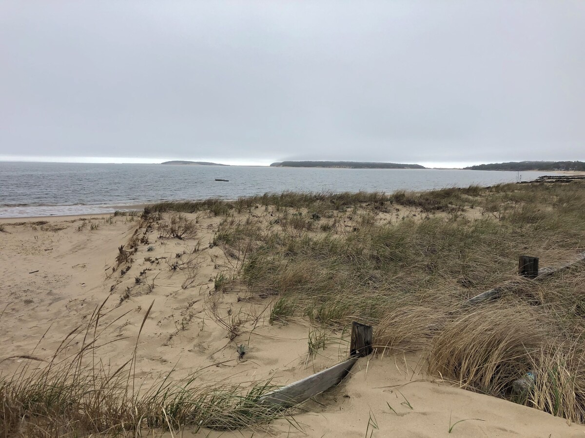 Relaxing clean cozy spacious artsy S. Wellfleet home delightful inside and out