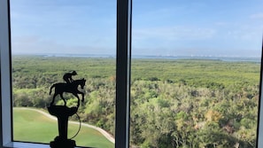 Morning View from kitchen dining table 