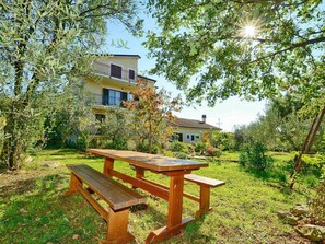 Plant, Outdoor Bench, Sky, Tree, Picnic Table, Table, Natural Landscape, Building, Shade, Outdoor Furniture