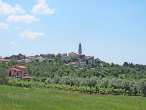 Himmel, Wolke, Pflanze, Blume, Ökoregion, Natürliche Landschaft, Baum, Grundstueck, Landwirtschaft, Einfach