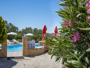 Fleur, Botanique, Plante, Jardin Botanique, Jardin, Arbre, Vacances, Architecture, Recours, Villa