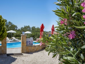 Blume, Botanik, Pflanze, Botanischer Garten, Garten, Baum, Urlaub, Die Architektur, Resort, Villa